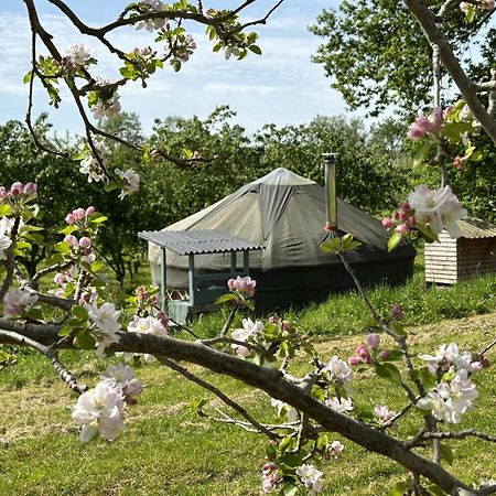 Willa Dragon Orchard Retreat Ledbury Zewnętrze zdjęcie