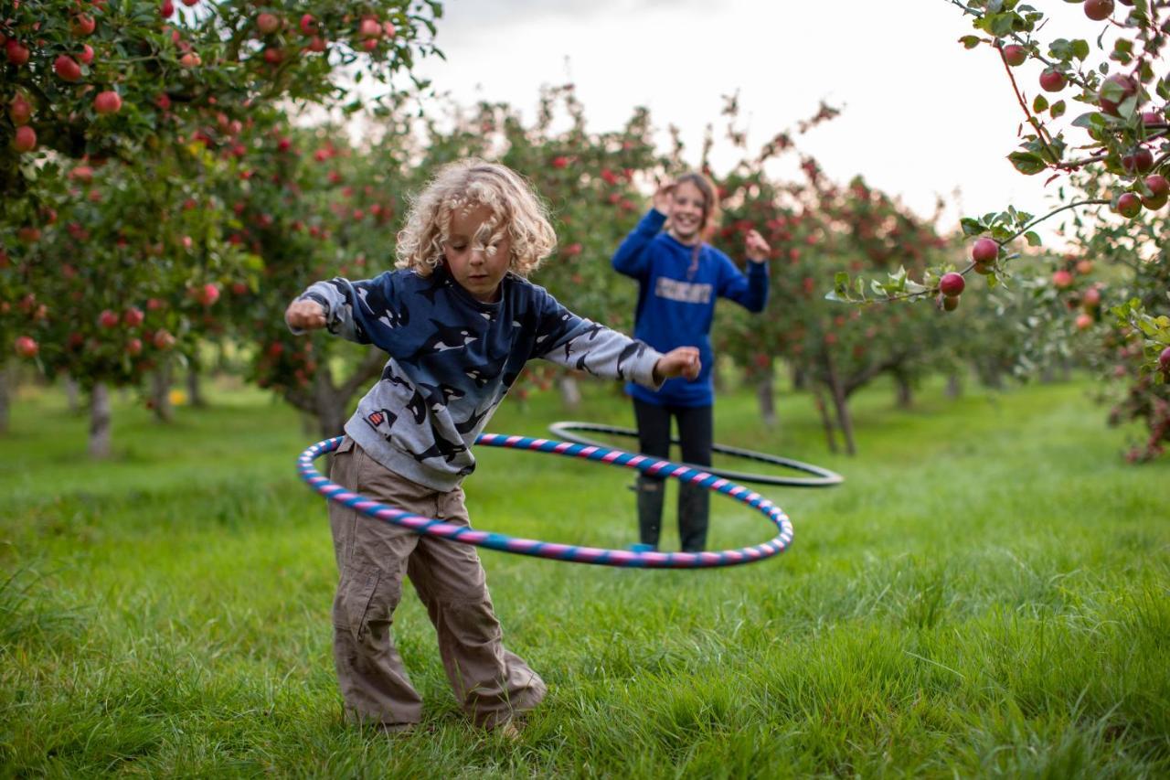 Willa Dragon Orchard Retreat Ledbury Zewnętrze zdjęcie