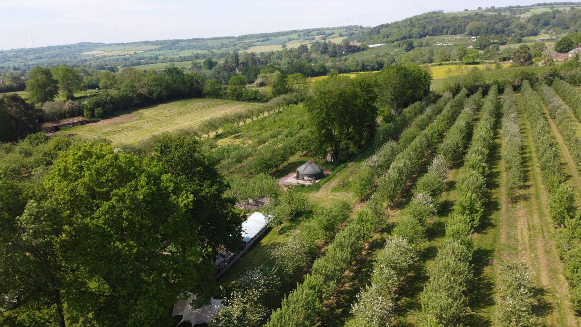 Willa Dragon Orchard Retreat Ledbury Zewnętrze zdjęcie
